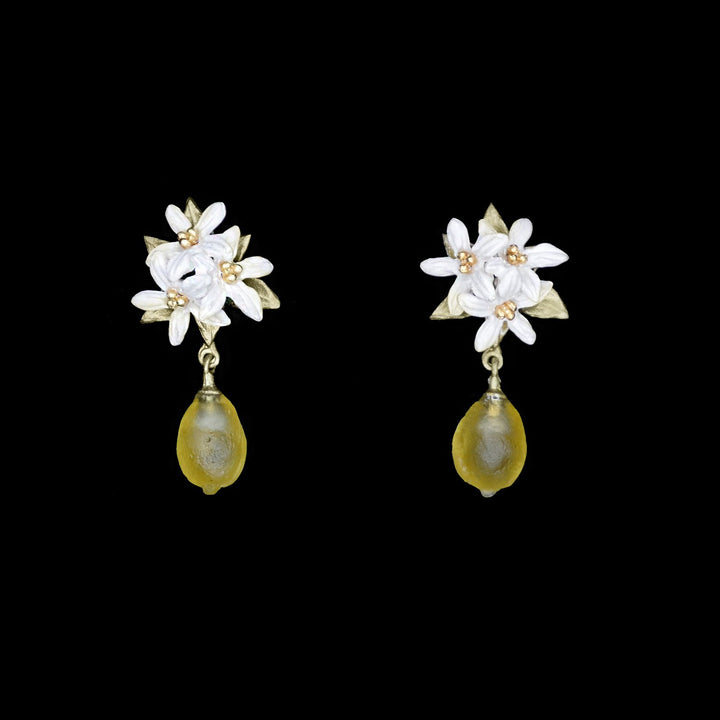 Image of the Michael Michaud Lemon Drop Earrings - Post on a black background