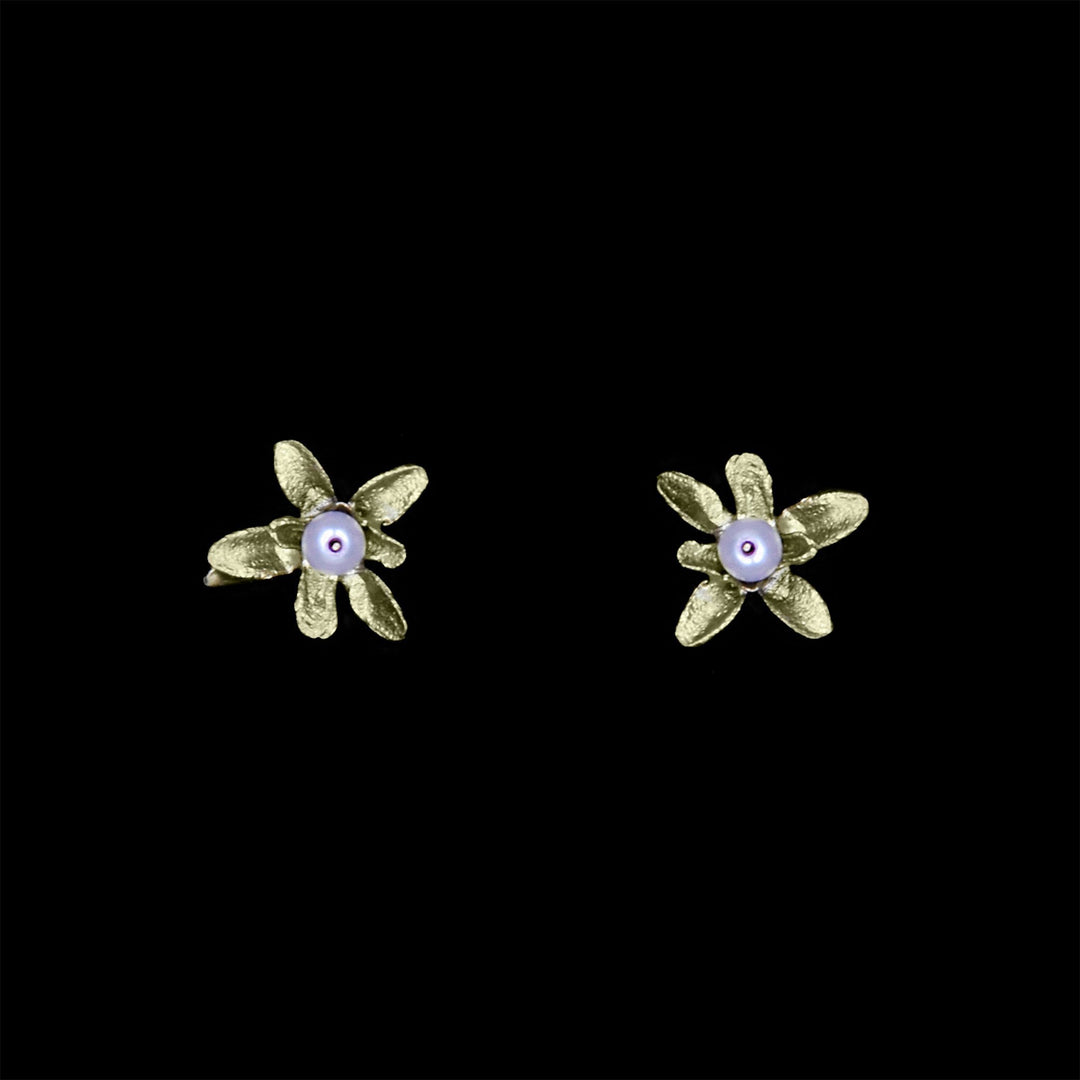 Image of the Michael Michaud Flowering Thyme Earrings - Stud Post on a black background