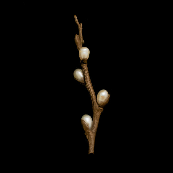 Image of the Michael Michaud Pussy Willow Brooch on a black background