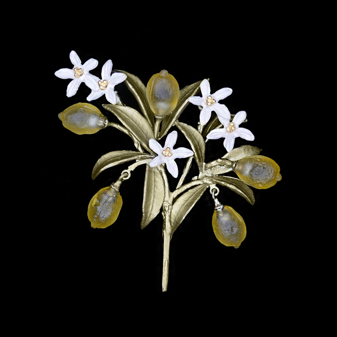 Image of the Michael Michaud Lemon Drop Brooch on a black background