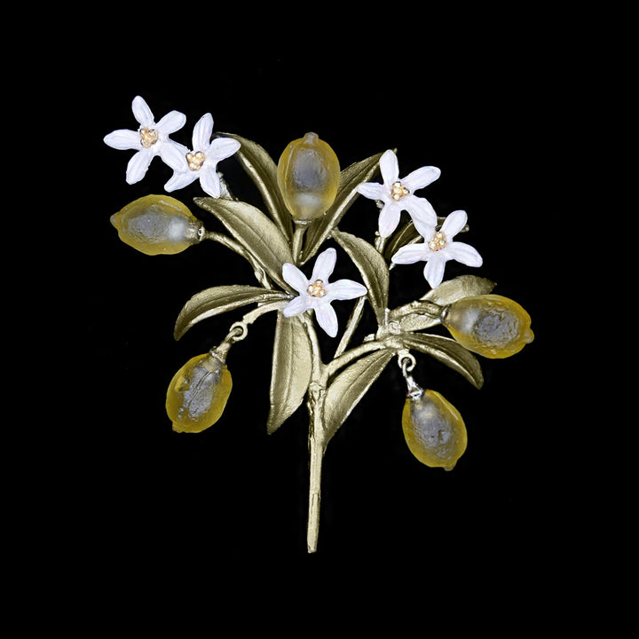 Image of the Michael Michaud Lemon Drop Brooch on a black background