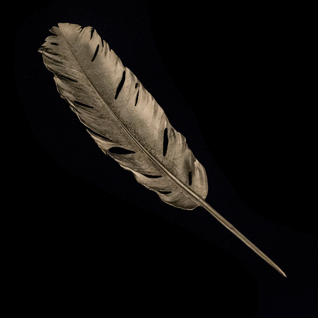 A gunmetal finish pewter dish with a feather design on a black background.