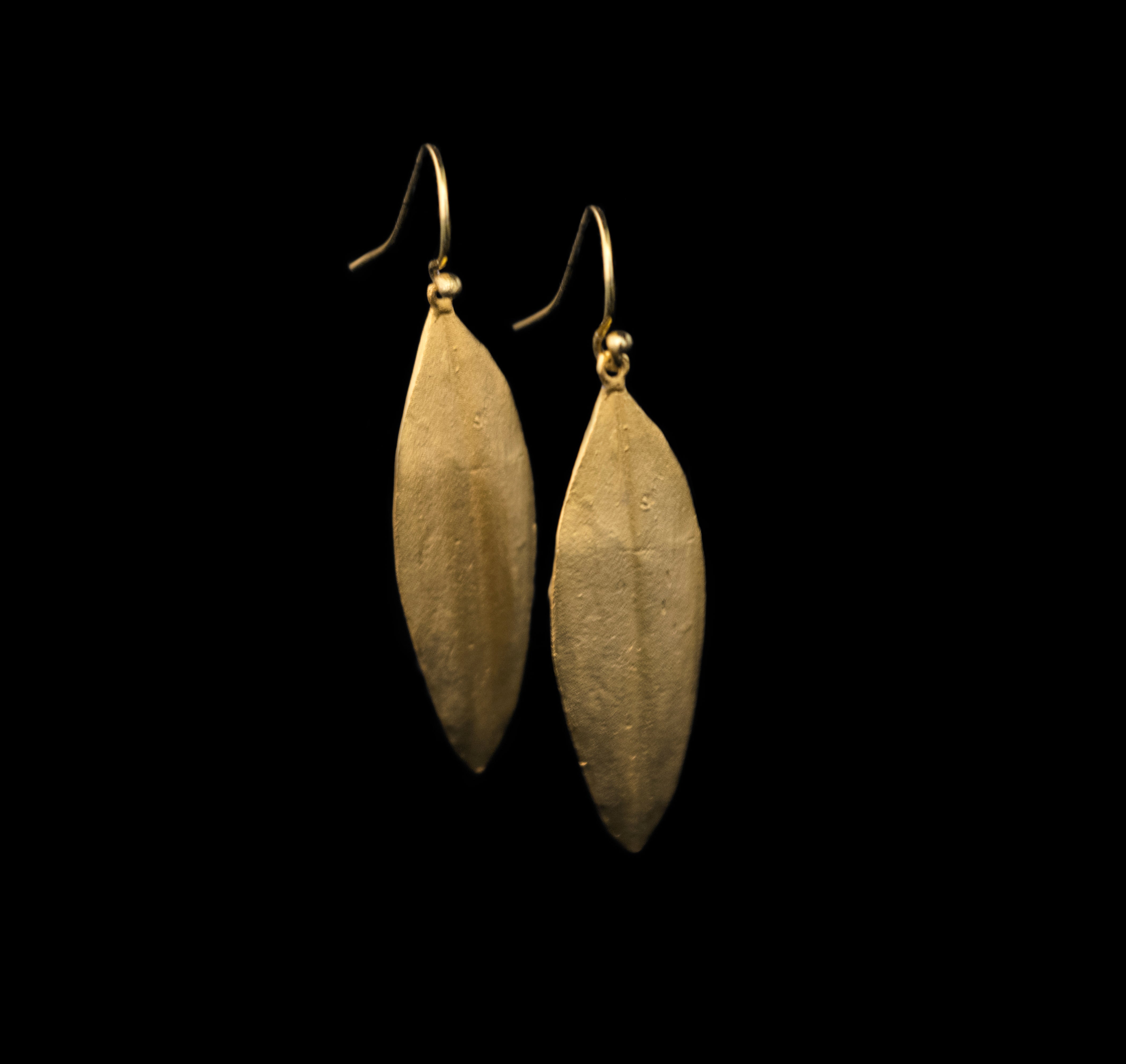 Image of the Michael Michaud Cordyline Leaf Earrings on a black background