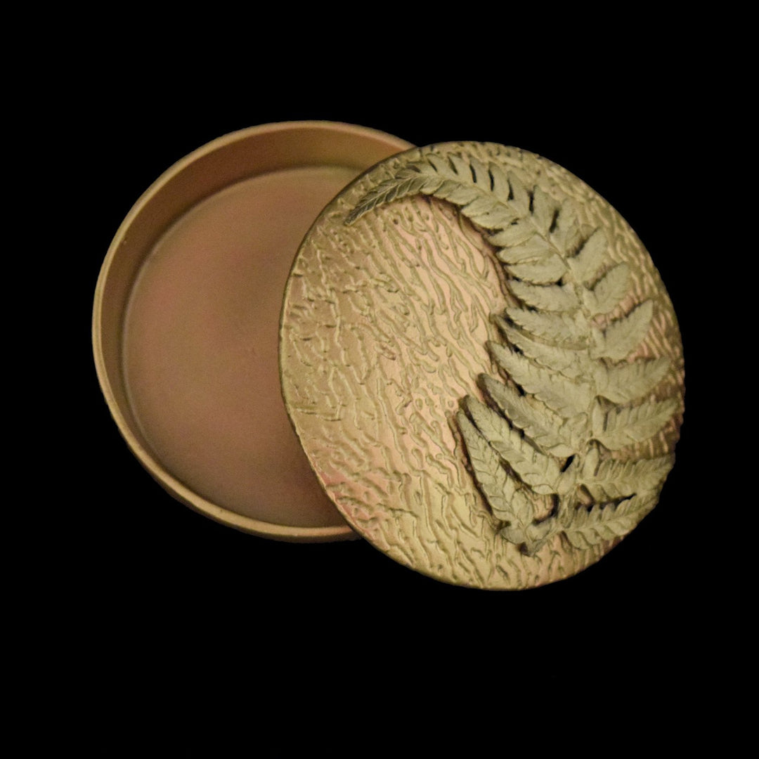 Image of the Michael Michaud Fern Box - Bronze on a black background