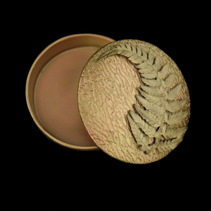 Image of the Michael Michaud Fern Box - Bronze on a black background
