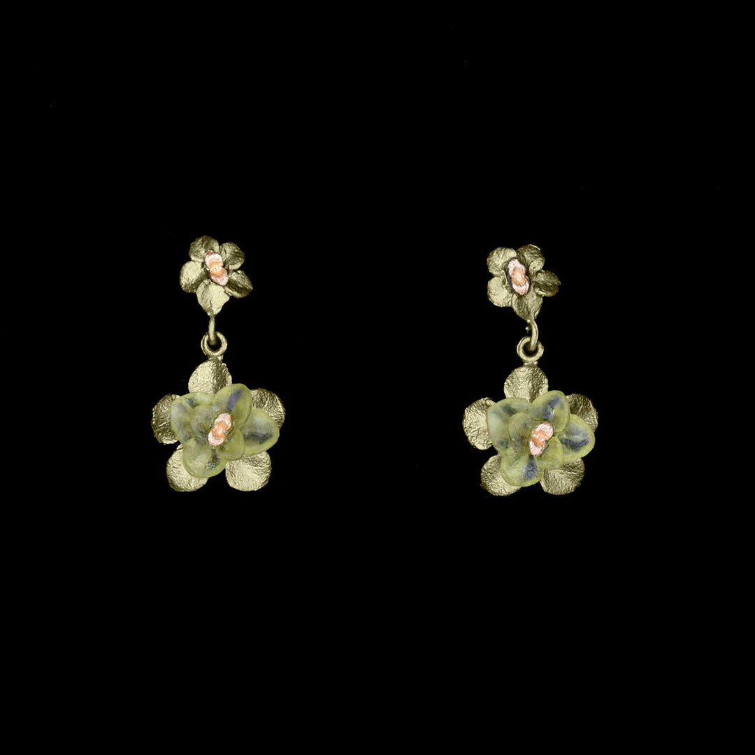 Image of the Michael Michaud Desert Flower Earrings - Drop Post on a black background
