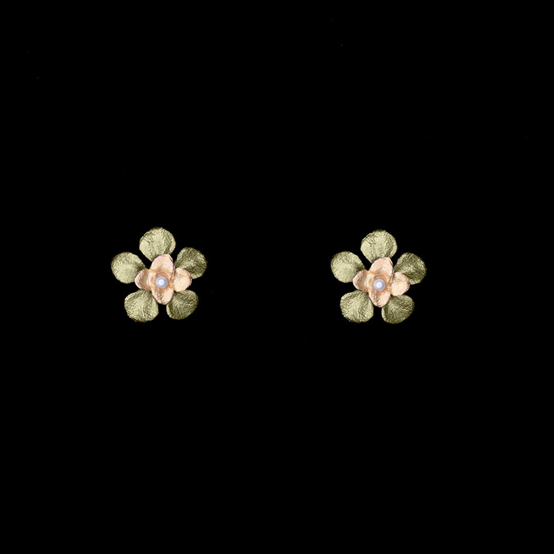 Image of the Michael Michaud Desert Flower Earrings - Stud on a black background