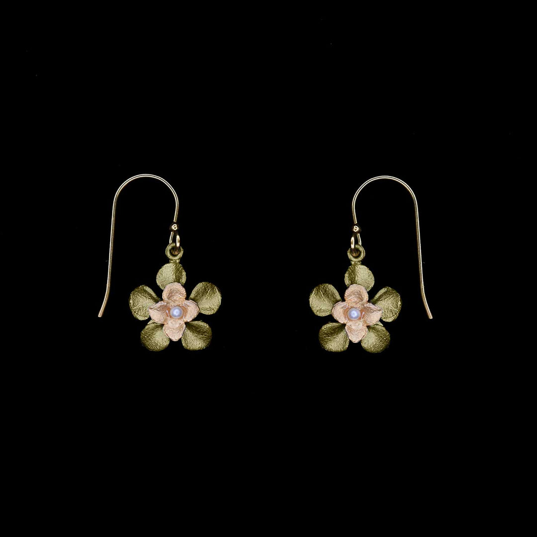 Image of the Michael Michaud Desert Flower Earrings - Wire on a black background