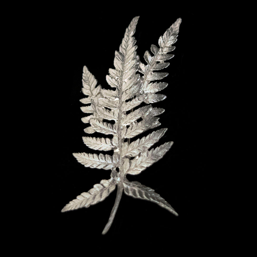 Image of the Michael Michaud Fine Fern Silver Brooch on a black background