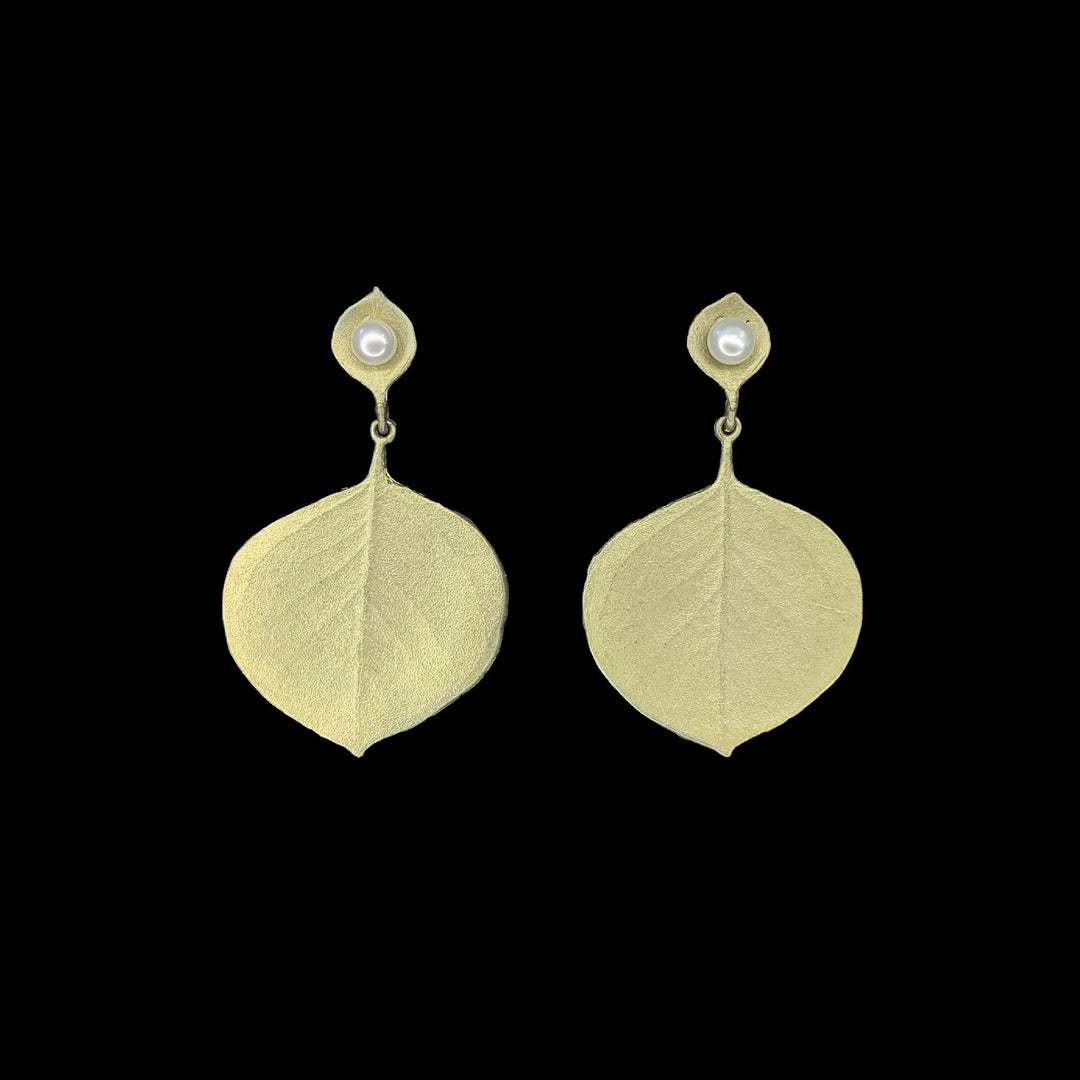 Image of the Michael Michaud Round Leaf Eucalyptus Earrings - Post on a black background