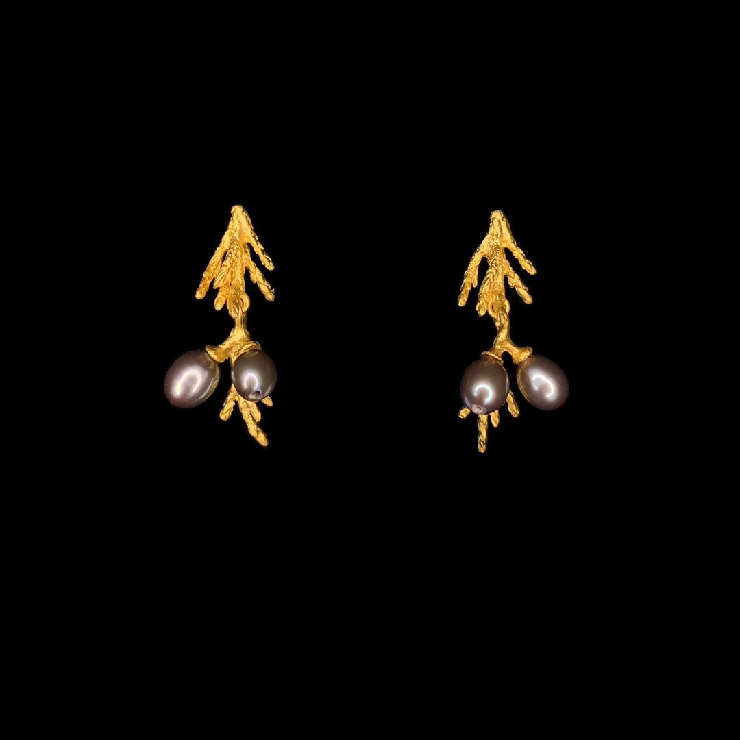 Image of the Michael Michaud Juniper Earrings - Post on a black background