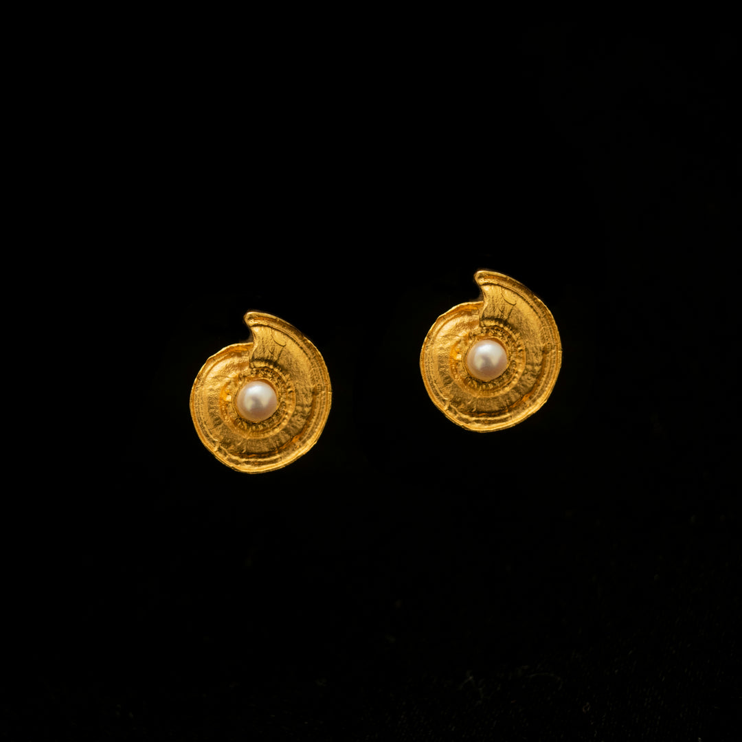 Image of the Michael Michaud Fine Nautilus Shell Post Earrings on a black background