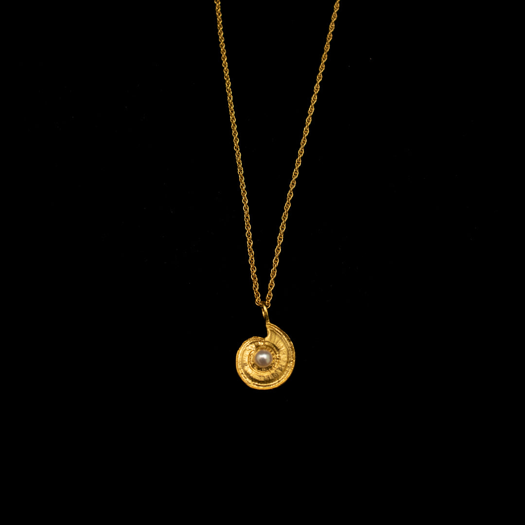 Image of the Michael Michaud Fine Nautilus Shell Pendnat on a black background