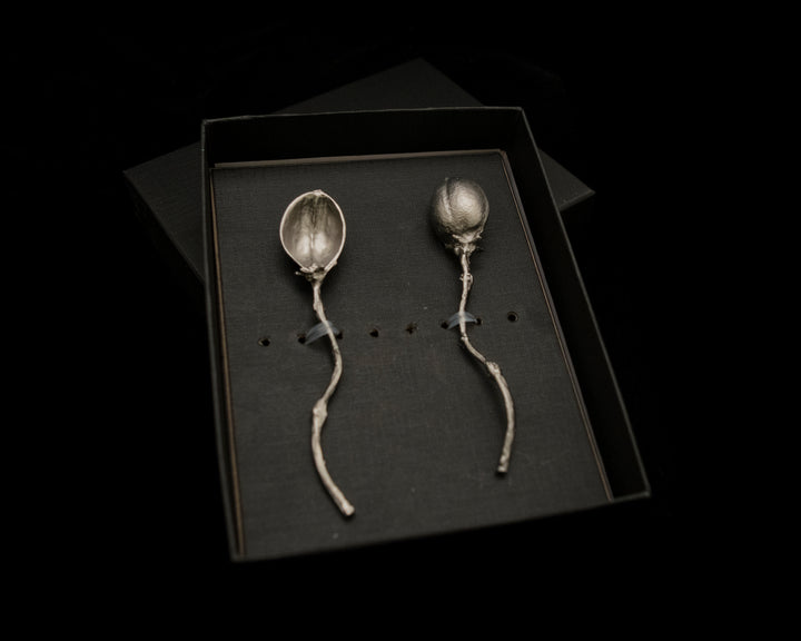 Image of the Michael Michaud Pod Spoons Set of Two - Pewter on a black background